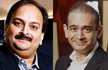 PNB scam: Mumbai court issues non-bailable warrant against Nirav Modi, Mehul Choksi